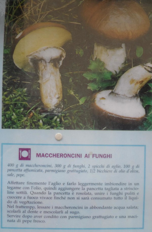maccheroncini ai funghi